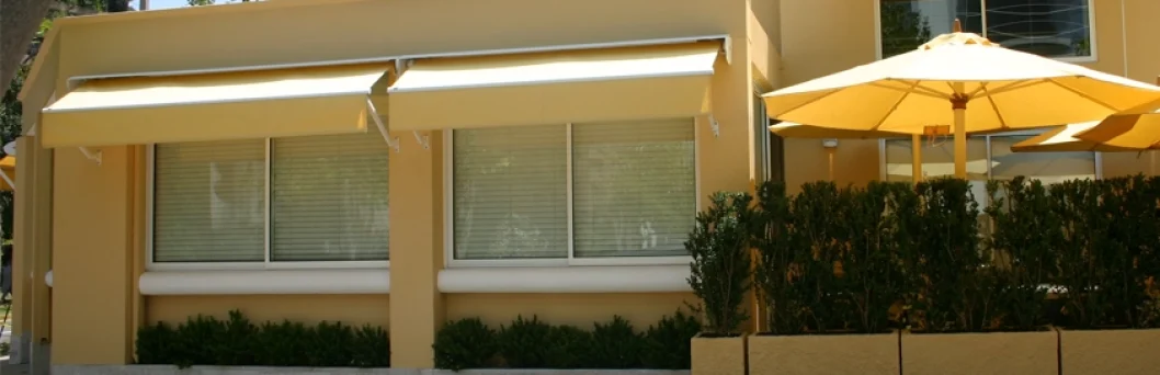 pivo-1-png-optimized